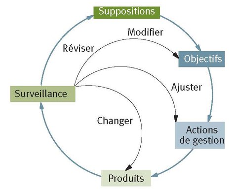 Figure 5. Boucle de rétroaction liée à la gestion adaptative (PNUE, 2003).
