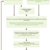 Figure 8. Étapes à franchir dans le cadre de l’élaboration et de la mise en œuvre de la Stratégie nationale de la Belgique pour la biodiversité. 