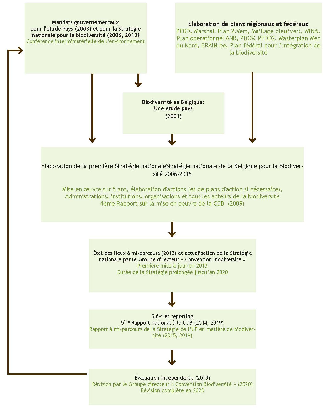 Figure 8. Étapes à franchir dans le cadre de l’élaboration et de la mise en œuvre de la Stratégie nationale de la Belgique pour la biodiversité. 