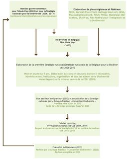 Figure 8. Étapes à franchir dans le cadre de l’élaboration et de la mise en œuvre de la Stratégie nationale de la Belgique pour la biodiversité. 