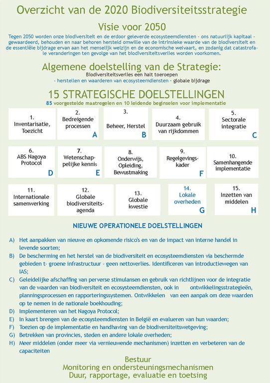 Afbeelding 1. Overzicht van de inhoud van de geactualiseerde strategie (nieuwe elementen zijn weergegeven in het blauw).