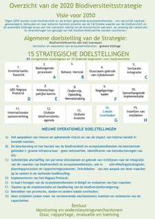 Afbeelding 1. Overzicht van de inhoud van de geactualiseerde strategie (nieuwe elementen zijn weergegeven in het blauw).