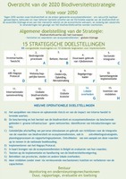 Afbeelding 1. Overzicht van de inhoud van de geactualiseerde strategie (nieuwe elementen zijn weergegeven in het blauw).