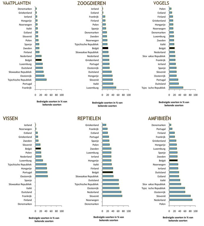 Afbeelding 3. Percentages van bedreigde soorten in België en andere Europese landen bij vaatplanten, zoogdieren, vogels, vissen, reptielen en amfibieën. 