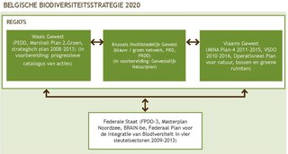 Afbeelding 4. Beleidskader voor biodiversiteit in België Links tussen bestaande goedgekeurde plannen met betrekking tot biodiversiteit op regionaal en federaal niveau.