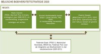 Afbeelding 4. Beleidskader voor biodiversiteit in België Links tussen bestaande goedgekeurde plannen met betrekking tot biodiversiteit op regionaal en federaal niveau.