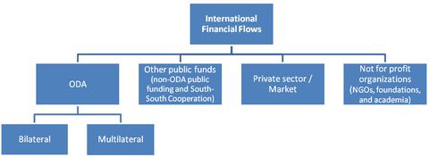 Afbeelding 7. Types van internationale financiële stromen.