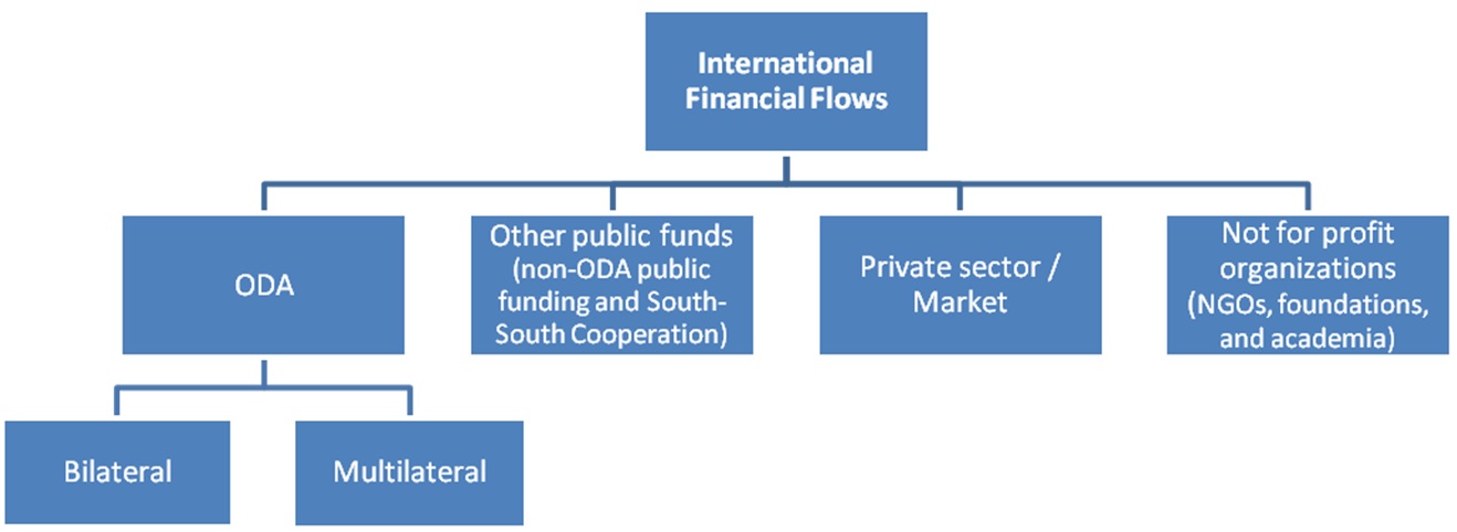 Afbeelding 7. Types van internationale financiële stromen.