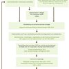 Afbeelding 8. Stappen voor de ontwikkeling en de implementatie van de Belgische Nationale Biodiversiteitsstrategie. 