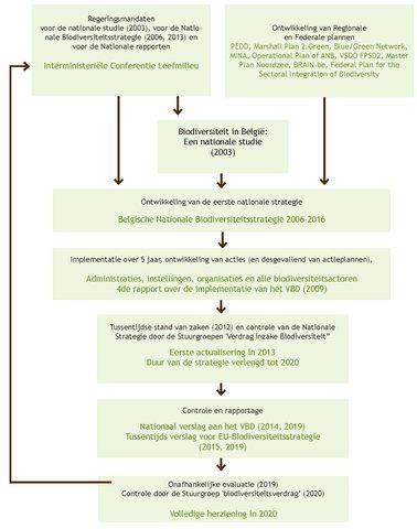 Afbeelding 8. Stappen voor de ontwikkeling en de implementatie van de Belgische Nationale Biodiversiteitsstrategie.