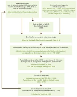Afbeelding 8. Stappen voor de ontwikkeling en de implementatie van de Belgische Nationale Biodiversiteitsstrategie. 