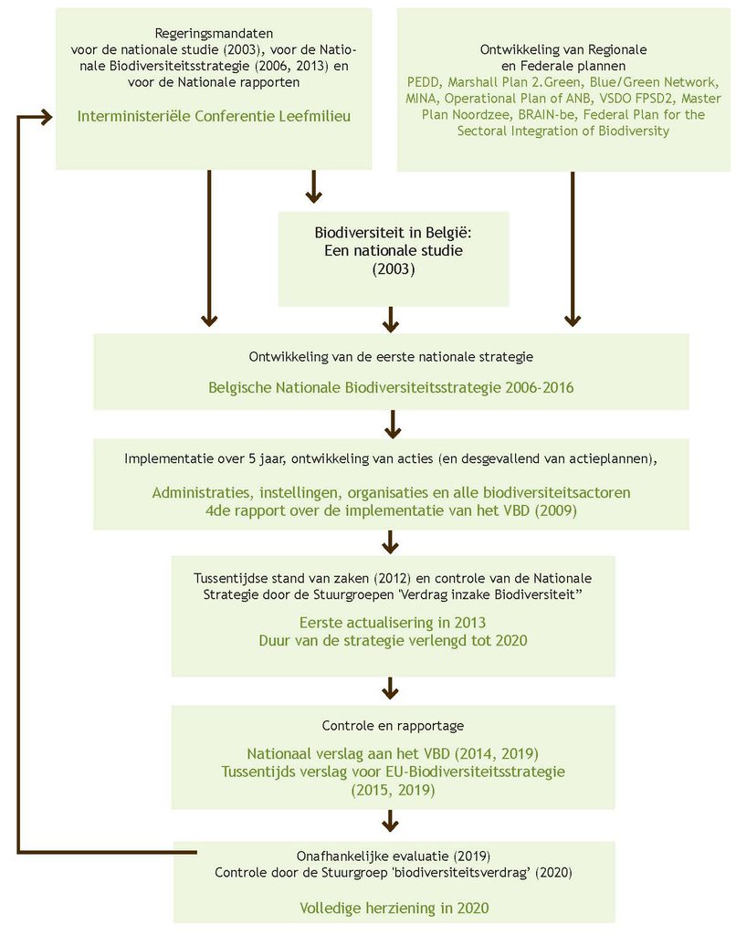 Afbeelding 8. Stappen voor de ontwikkeling en de implementatie van de Belgische Nationale Biodiversiteitsstrategie. 