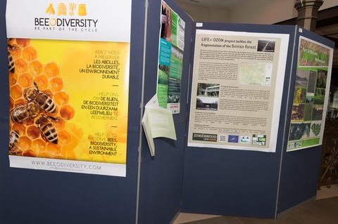 Posters-18.jpg