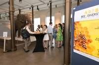 Posters-19.jpg