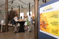 Posters-20.jpg
