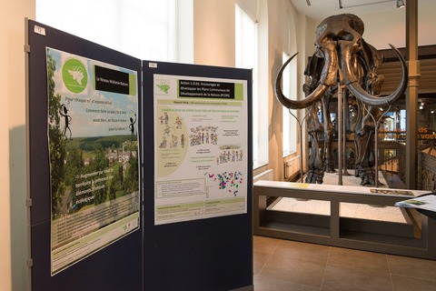 Posters-23.jpg