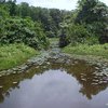 C:\Documents and Settings\boye.johnson\My Documents\My Pictures\SOE photos\wetlands-buchanan.JPG