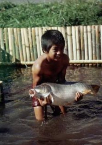 annual-world-fish-catch-cbd.JPG