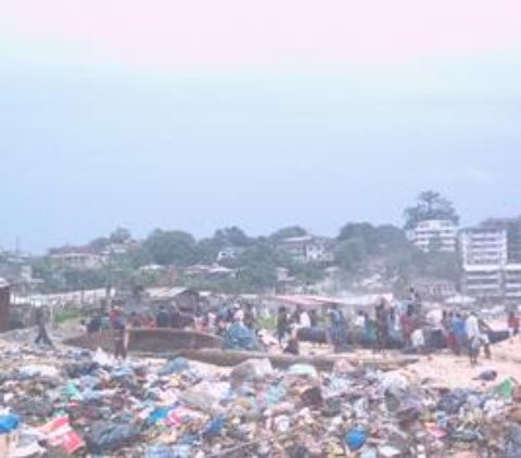 coastal&marine-biodiversity.JPG