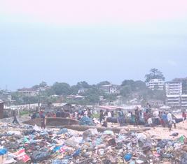 coastal&marine-biodiversity.JPG