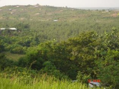 newsettlementinmonrovia-lib.JPG
