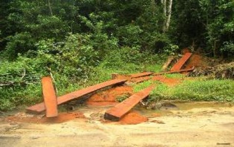 timber-hauled-to-road-side.JPG