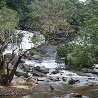 Liberia Celebrates World Wetlands Day