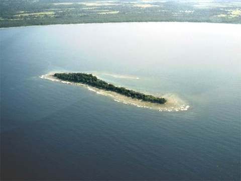 Fig. 2: luchtopname van het eiland Laing.