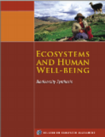 Cover MA Biodiversity synthesis
