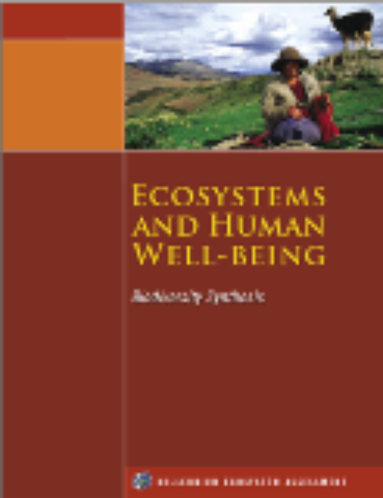 Cover MA Biodiversity synthesis