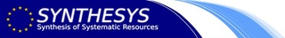 Synthesis logo