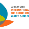 Logo IDB 2013 Secretariat