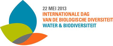 Logo IDB 2013_NL-HighRes