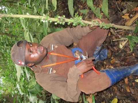 Inventaire de la Biodiversité à Aketi