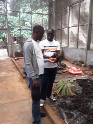 visite guidée cote d' ivoire