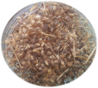 Grasses
