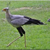 ppt/media/image75.jpeg