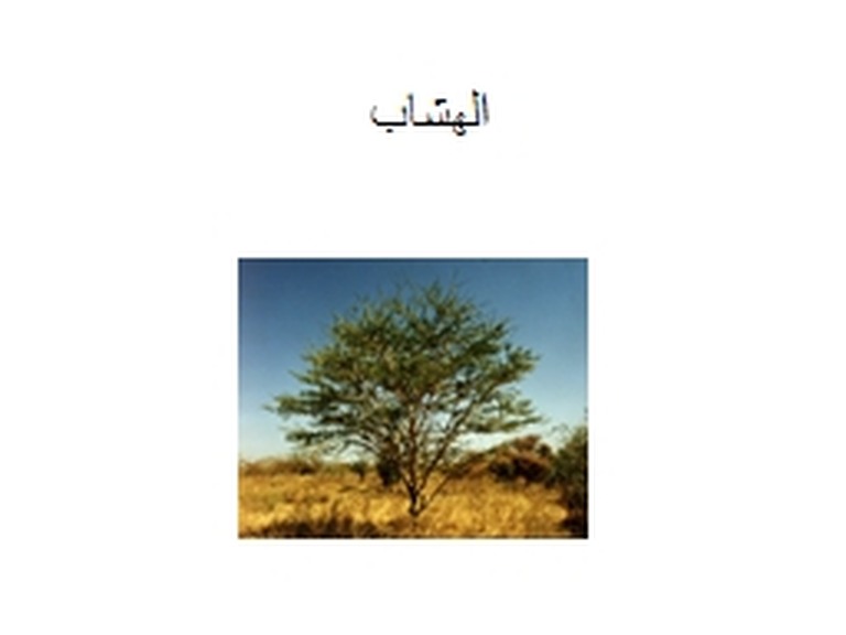 trees