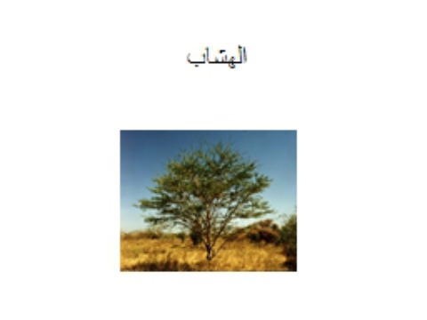 trees