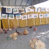 DSC06745.JPG