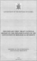 National Report Cover - This cover to the first national report